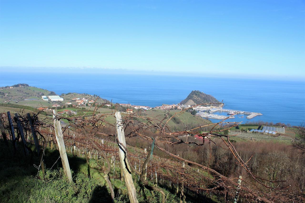 Gazteategi Bed & Breakfast Zarautz Exterior photo